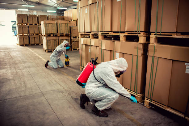 Best Best Pest Control Companies  in Great Falls, MT