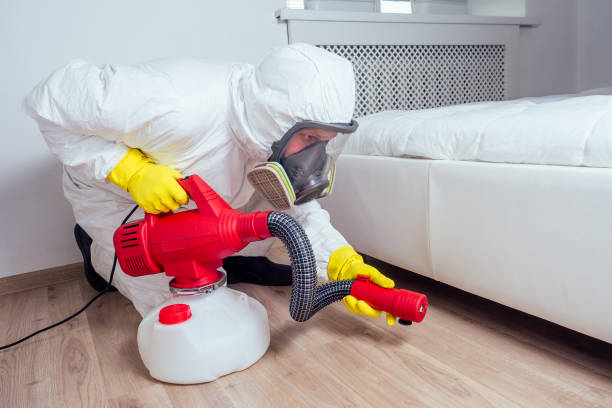 Best Affordable Pest Control Services  in Great Falls, MT