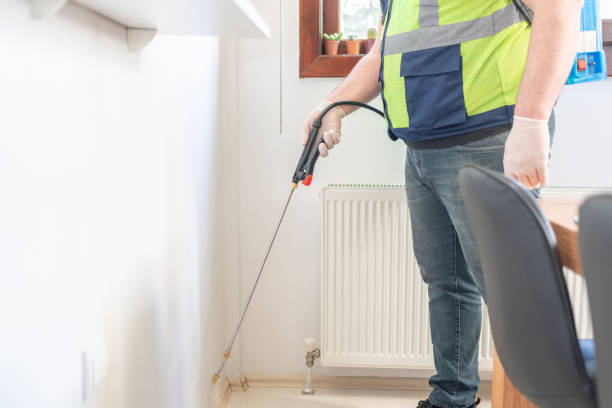 Wasp Removal Services in Great Falls, MT