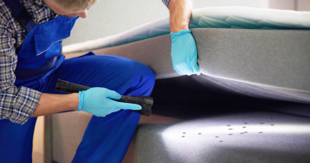 Best Wasp Removal Services  in Great Falls, MT