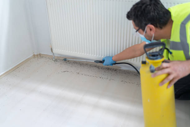 Best Emergency Pest Control  in Great Falls, MT
