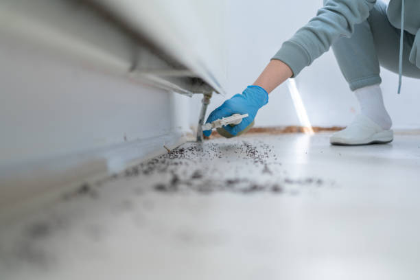 Best Residential Pest Control  in Great Falls, MT