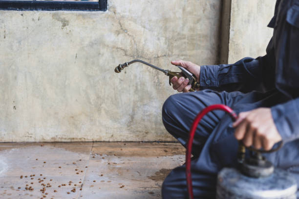 Best Wasp Removal Services  in Great Falls, MT