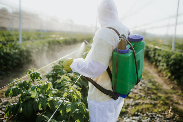 Pest Prevention Services in Great Falls, MT